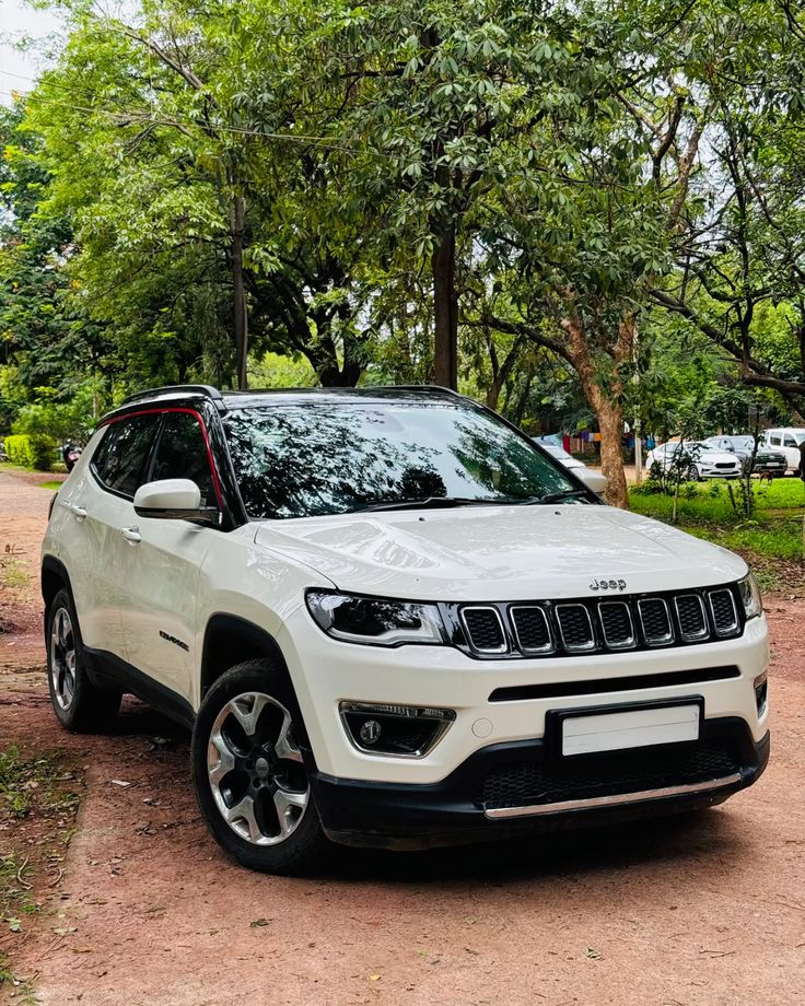 Carro branco em área arborizada